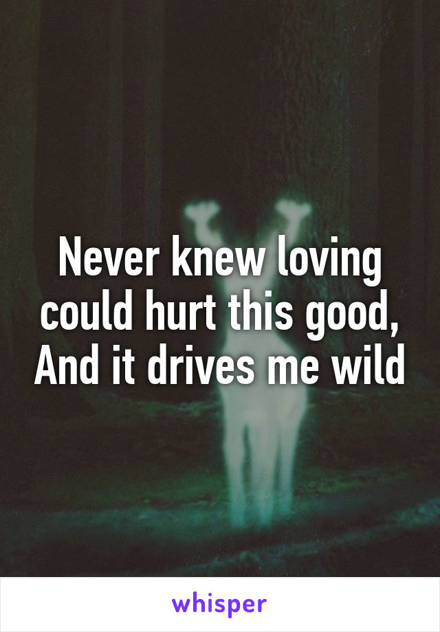 Never knew loving could hurt this good, And it drives me wild