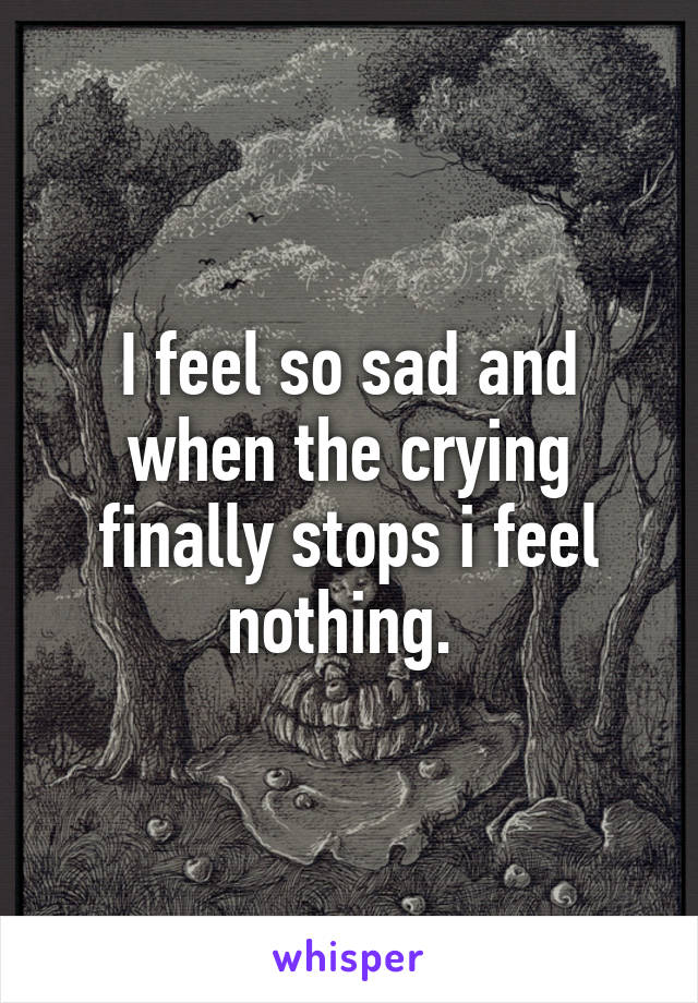 I feel so sad and when the crying finally stops i feel nothing. 