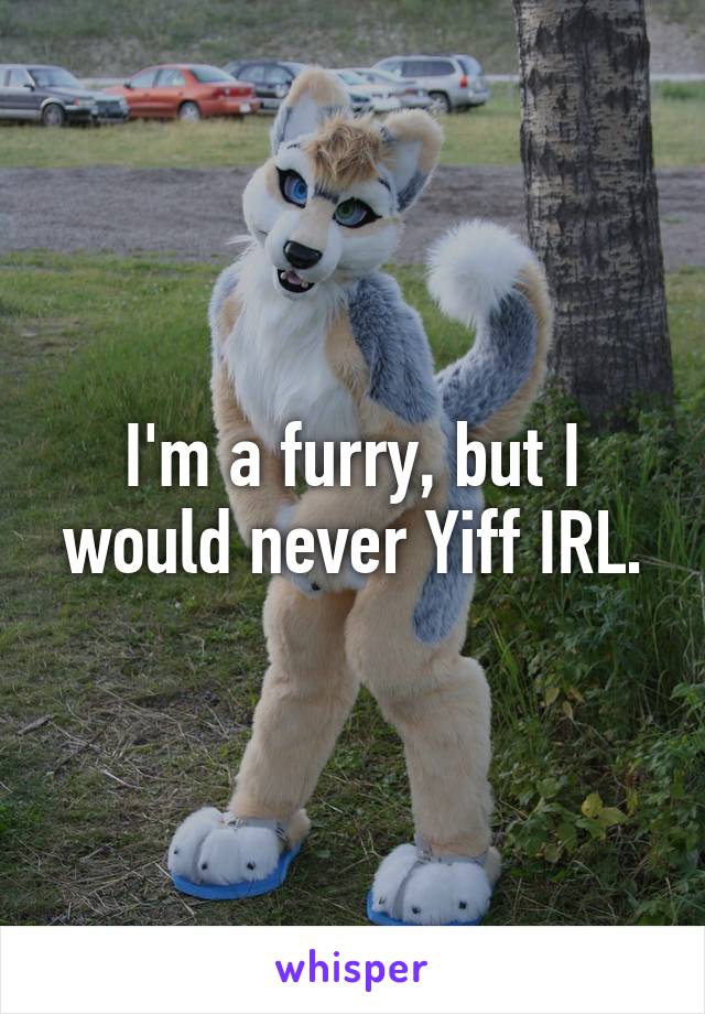 I'm a furry, but I would never Yiff IRL.