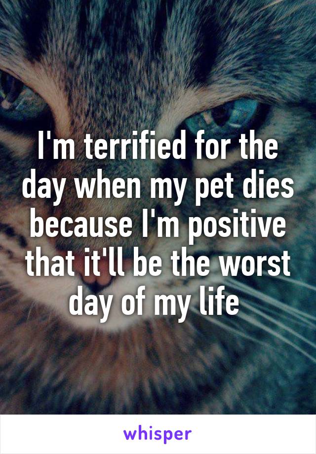 I'm terrified for the day when my pet dies because I'm positive that it'll be the worst day of my life 