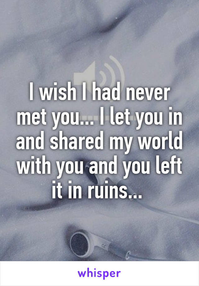 I wish I had never met you... I let you in and shared my world with you and you left it in ruins... 