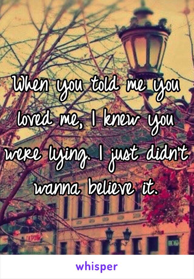 When you told me you loved me, I knew you were lying. I just didn't wanna believe it.