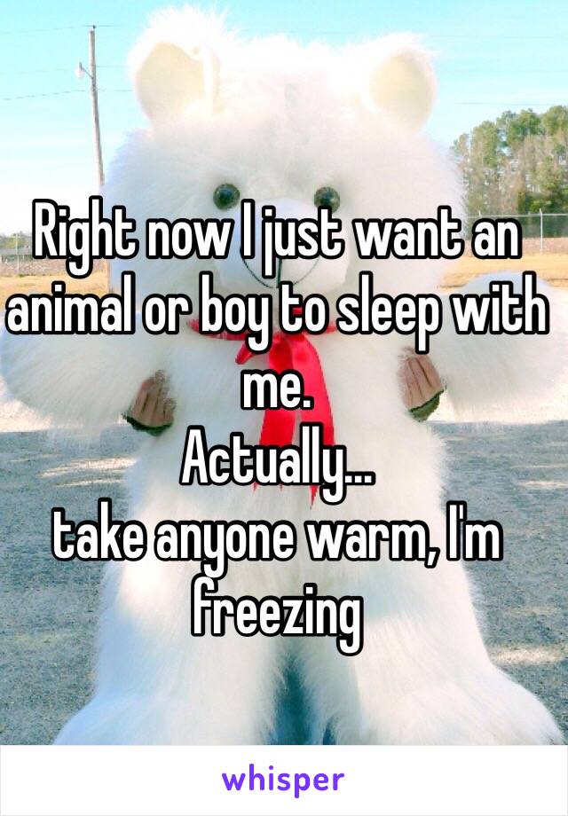 Right now I just want an animal or boy to sleep with me. 
Actually...
take anyone warm, I'm freezing 