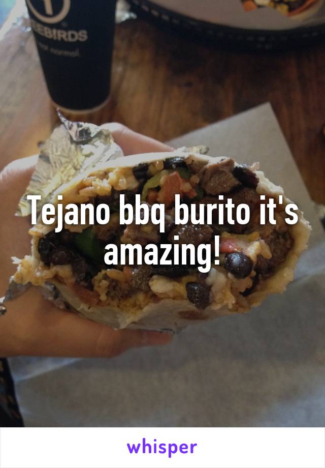 Tejano bbq burito it's amazing!