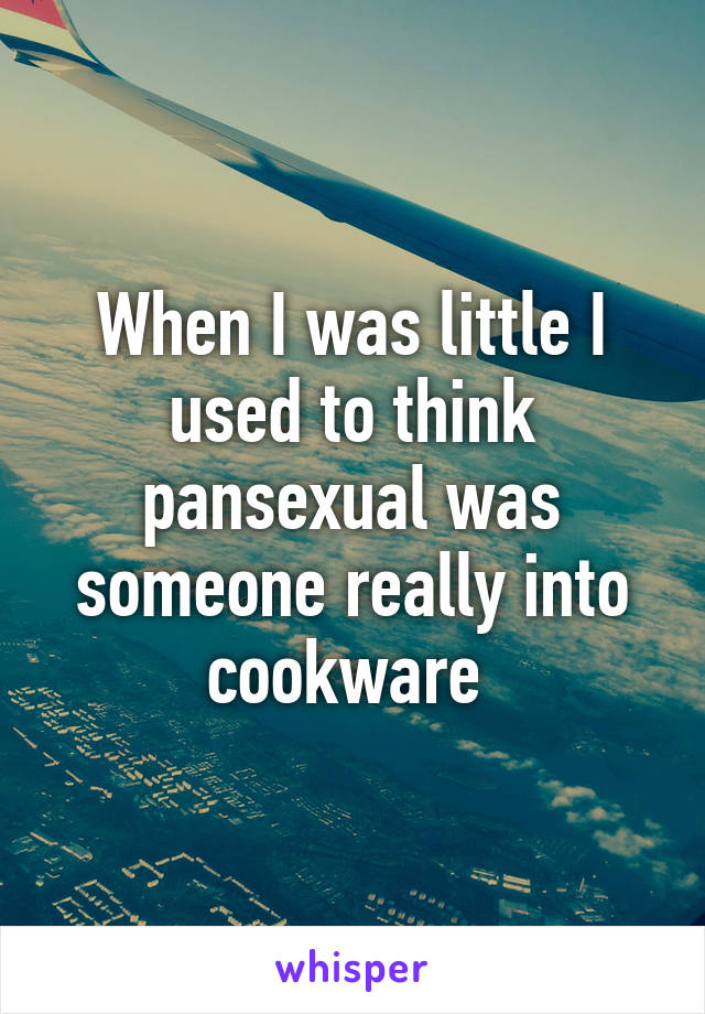 When I was little I used to think pansexual was someone really into cookware 