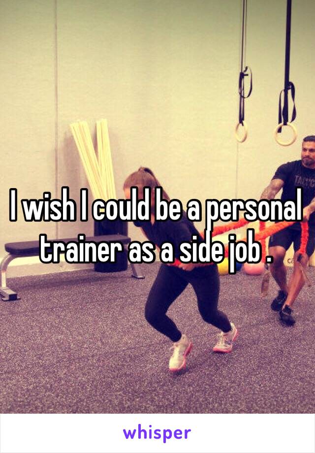 I wish I could be a personal trainer as a side job .