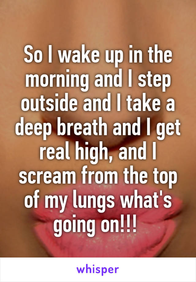 So I wake up in the morning and I step outside and I take a deep breath and I get real high, and I scream from the top of my lungs what's going on!!! 