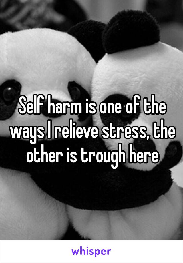 Self harm is one of the ways I relieve stress, the other is trough here