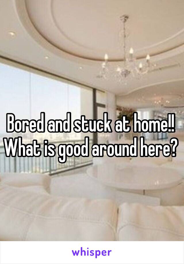 Bored and stuck at home!!
What is good around here?