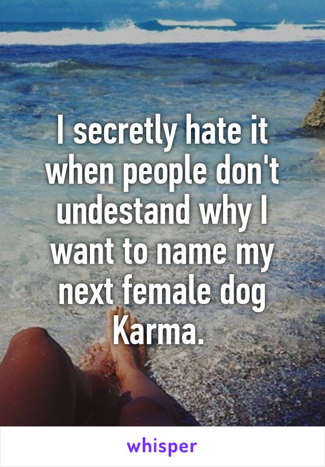 I secretly hate it when people don't undestand why I want to name my next female dog Karma. 