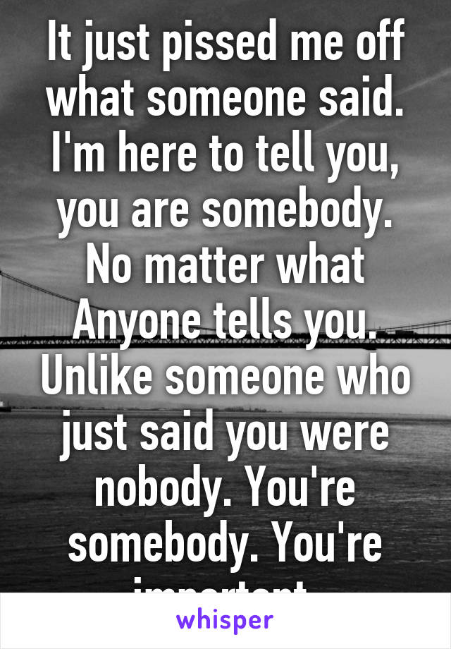 It just pissed me off what someone said. I'm here to tell you, you are somebody. No matter what Anyone tells you. Unlike someone who just said you were nobody. You're somebody. You're important.