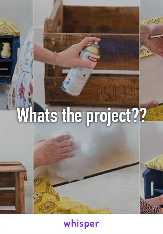 Whats the project??