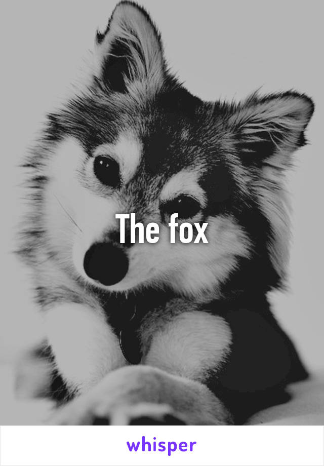 The fox