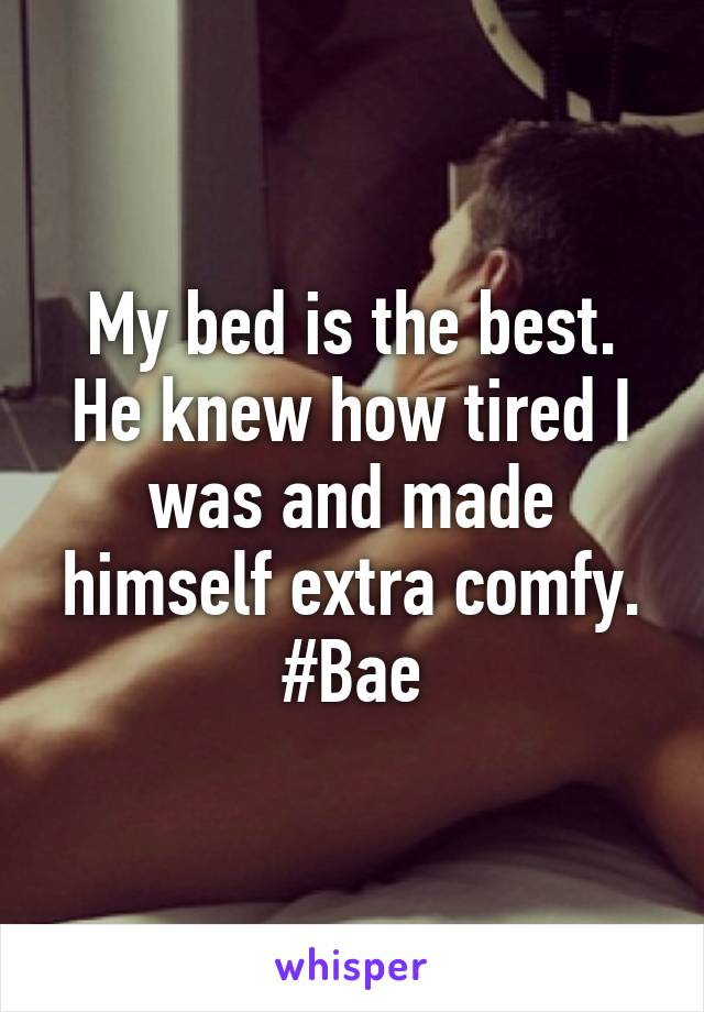 My bed is the best. He knew how tired I was and made himself extra comfy. #Bae