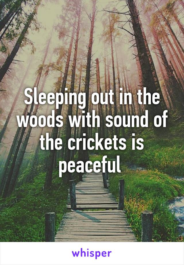 Sleeping out in the woods with sound of the crickets is peaceful 