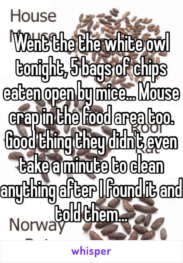 Went the the white owl tonight, 5 bags of chips eaten open by mice... Mouse crap in the food area too. Good thing they didn't even take a minute to clean anything after I found it and told them...