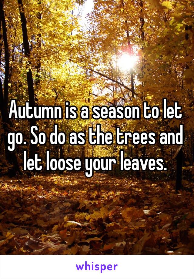 Autumn is a season to let go. So do as the trees and let loose your leaves. 