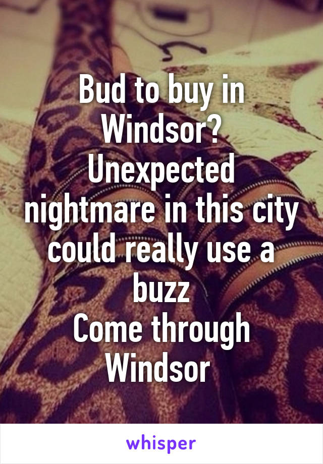 Bud to buy in Windsor?
Unexpected nightmare in this city could really use a buzz
Come through Windsor 