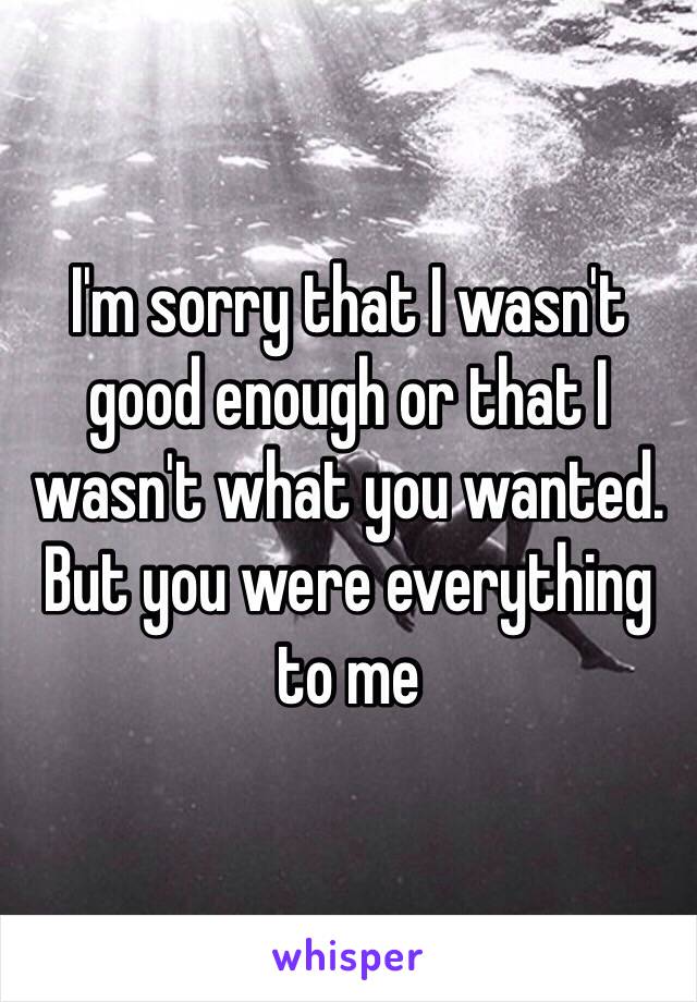 I'm sorry that I wasn't good enough or that I wasn't what you wanted. But you were everything to me