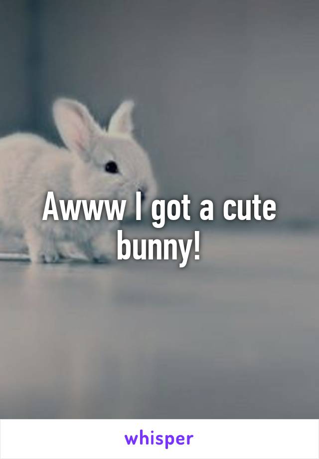 Awww I got a cute bunny!