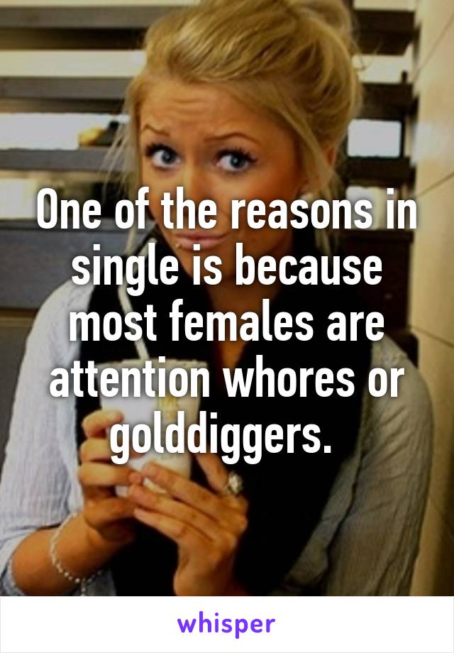 One of the reasons in single is because most females are attention whores or golddiggers. 