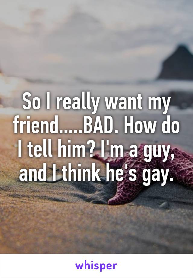 So I really want my friend.....BAD. How do I tell him? I'm a guy, and I think he's gay.