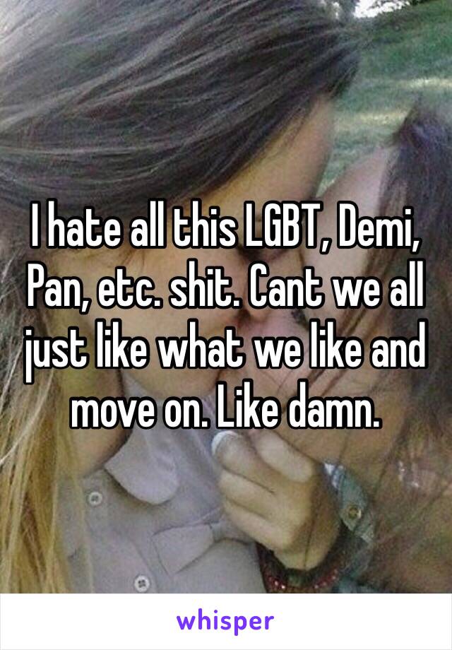 I hate all this LGBT, Demi, Pan, etc. shit. Cant we all just like what we like and move on. Like damn.