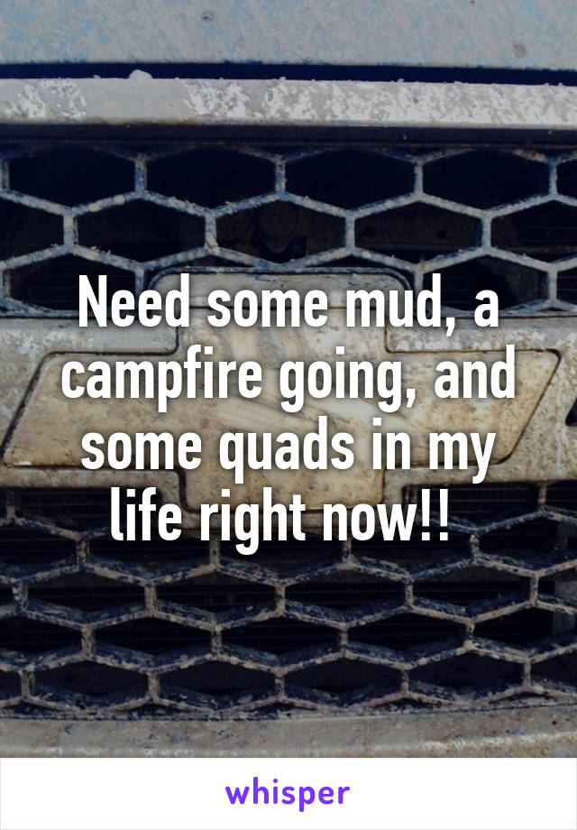 Need some mud, a campfire going, and some quads in my life right now!! 