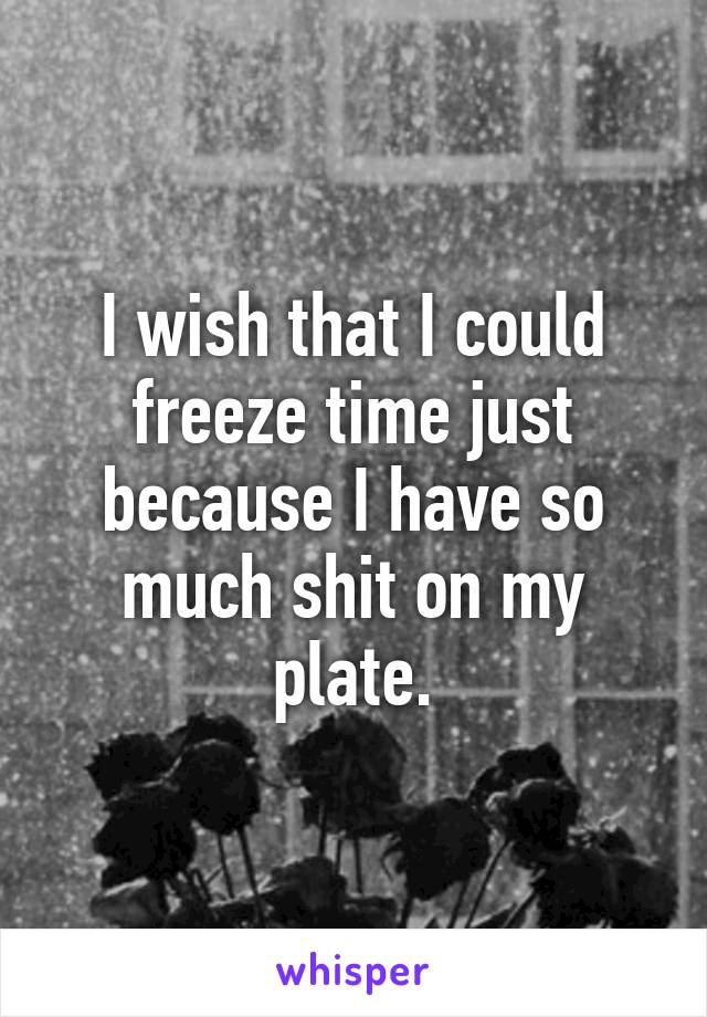 I wish that I could freeze time just because I have so much shit on my plate.