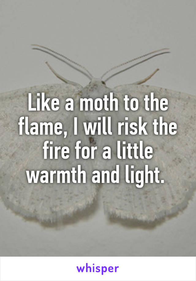 Like a moth to the flame, I will risk the fire for a little warmth and light. 