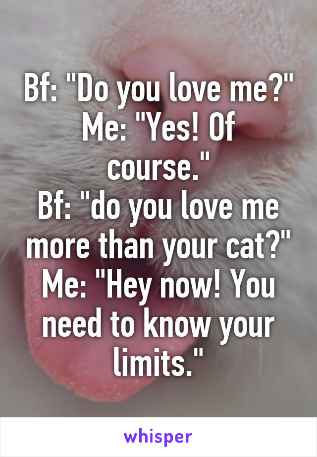 Bf: "Do you love me?"
Me: "Yes! Of course."
Bf: "do you love me more than your cat?"
Me: "Hey now! You need to know your limits."