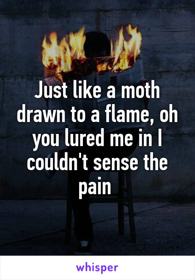 Just like a moth drawn to a flame, oh you lured me in I couldn't sense the pain 