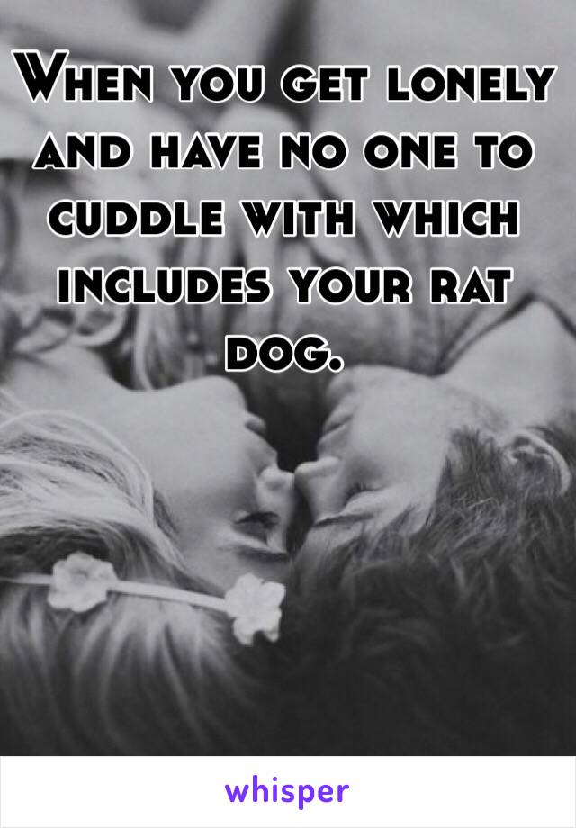 When you get lonely and have no one to cuddle with which includes your rat dog.