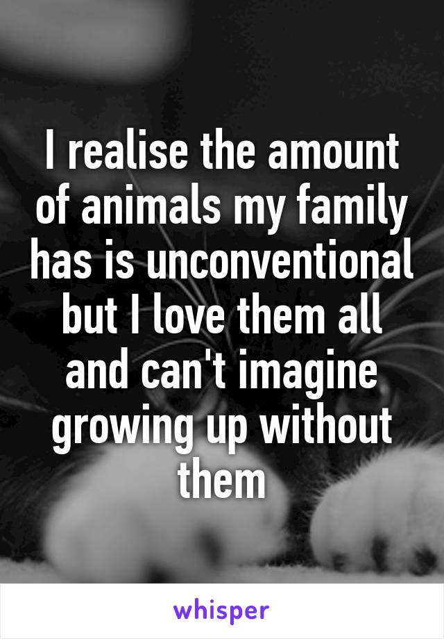 I realise the amount of animals my family has is unconventional but I love them all and can't imagine growing up without them