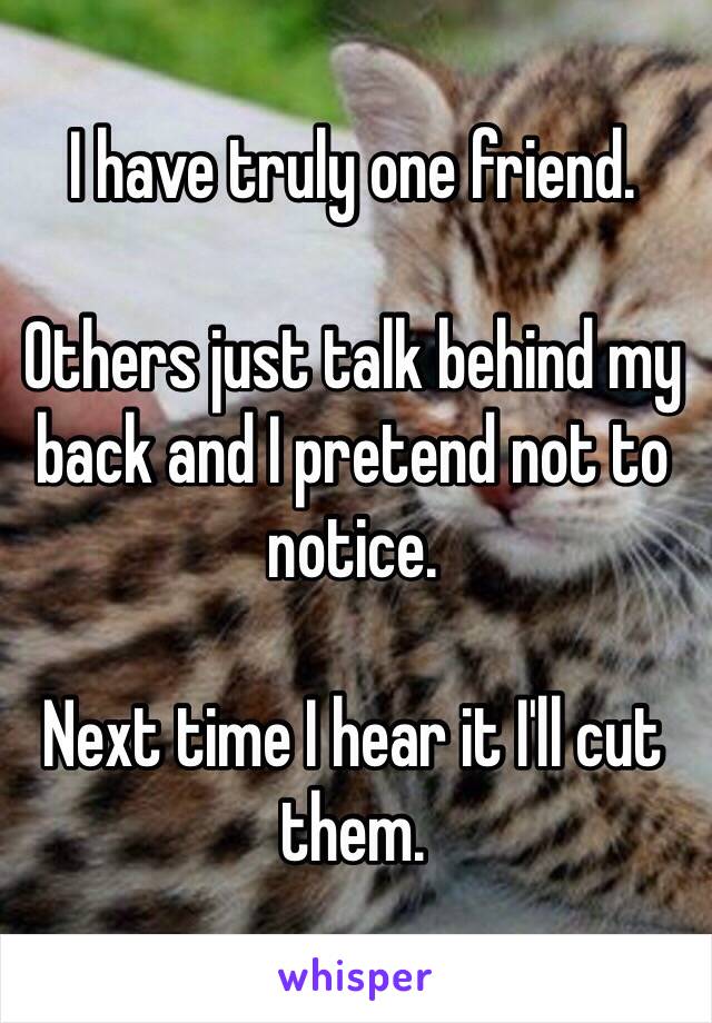 I have truly one friend.

Others just talk behind my back and I pretend not to notice.

Next time I hear it I'll cut them.