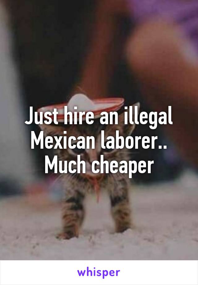 Just hire an illegal Mexican laborer.. Much cheaper