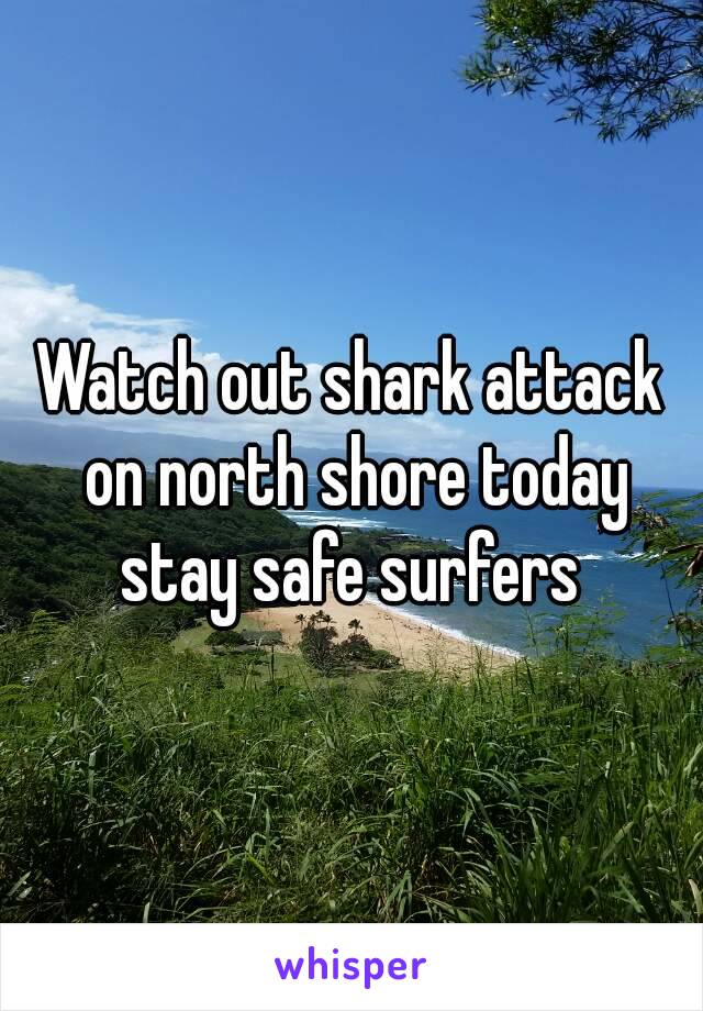 Watch out shark attack on north shore today stay safe surfers 