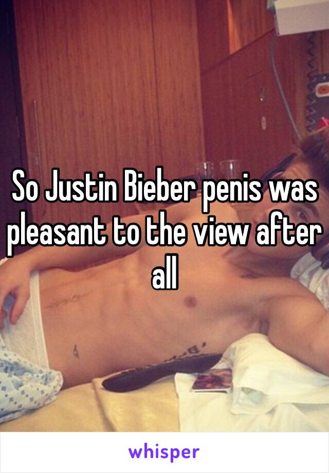 So Justin Bieber penis was pleasant to the view after all