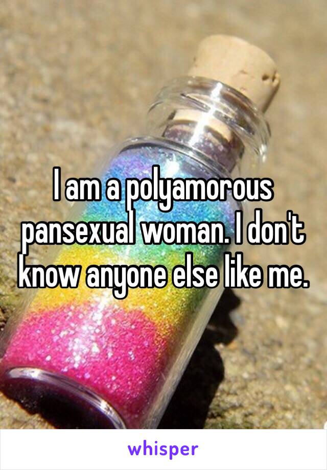 I am a polyamorous pansexual woman. I don't know anyone else like me. 