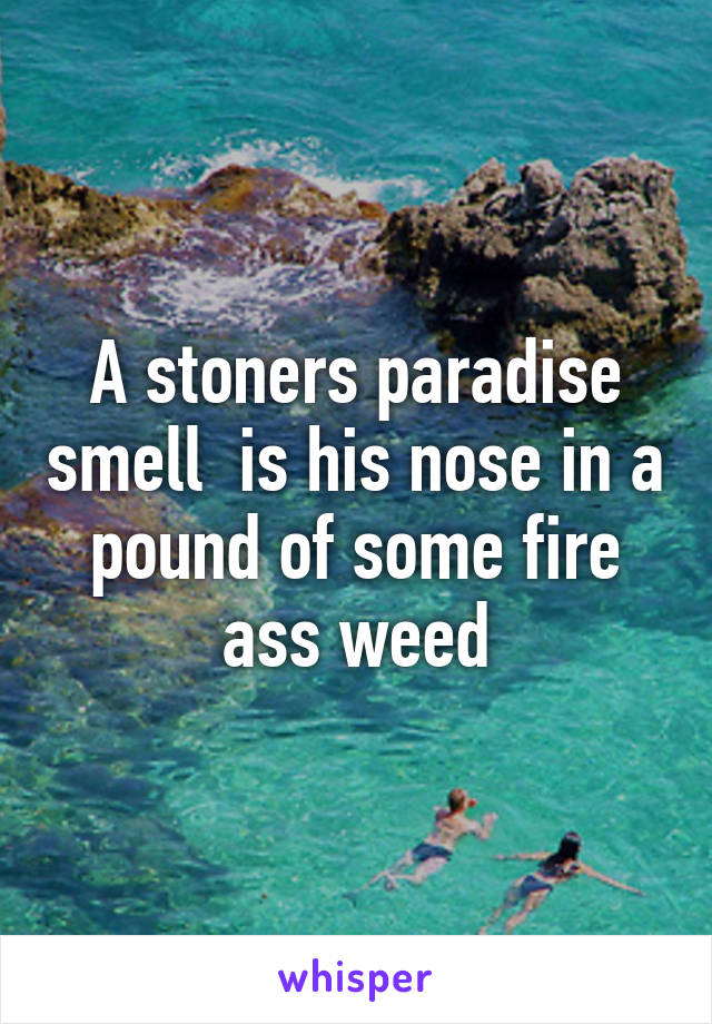 A stoners paradise smell  is his nose in a pound of some fire ass weed