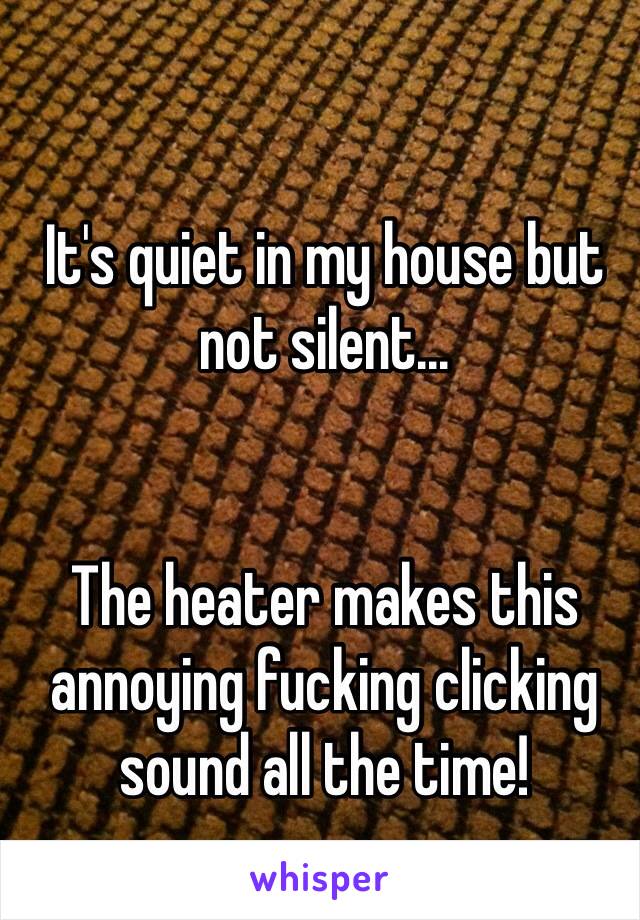 It's quiet in my house but not silent... 


The heater makes this annoying fucking clicking sound all the time!