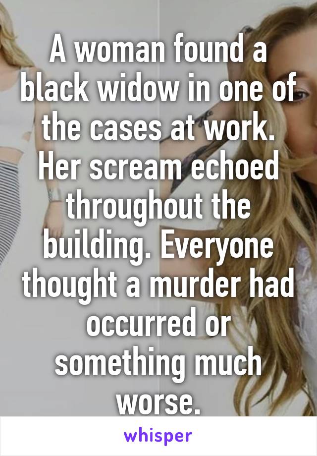 A woman found a black widow in one of the cases at work. Her scream echoed throughout the building. Everyone thought a murder had occurred or something much worse.