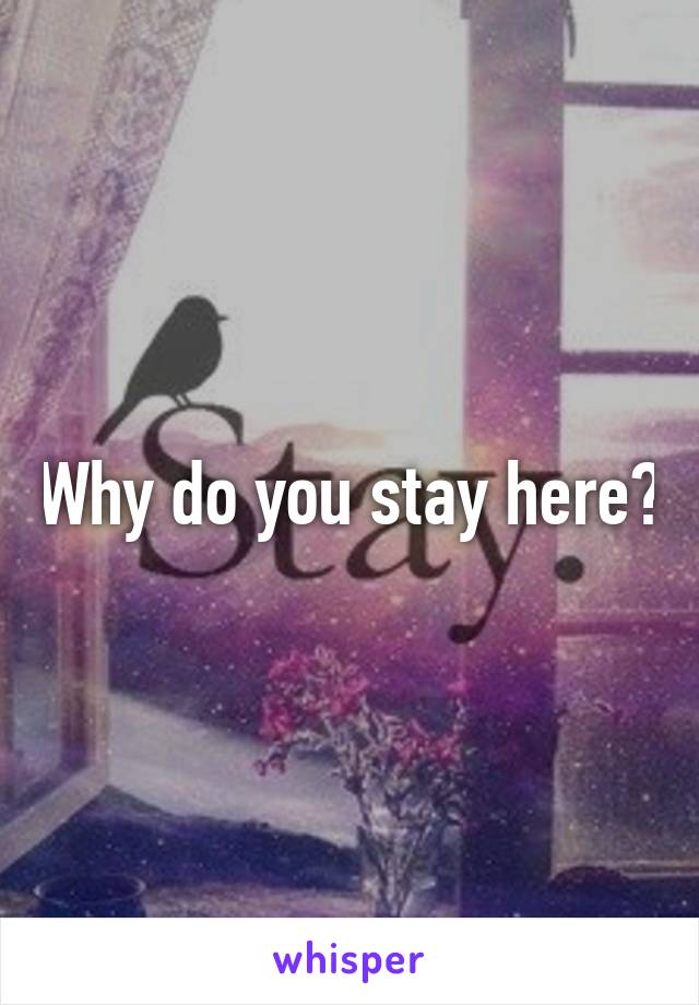 Why do you stay here?