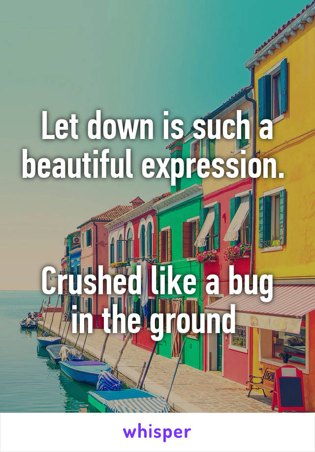 Let down is such a beautiful expression. 


Crushed like a bug in the ground 