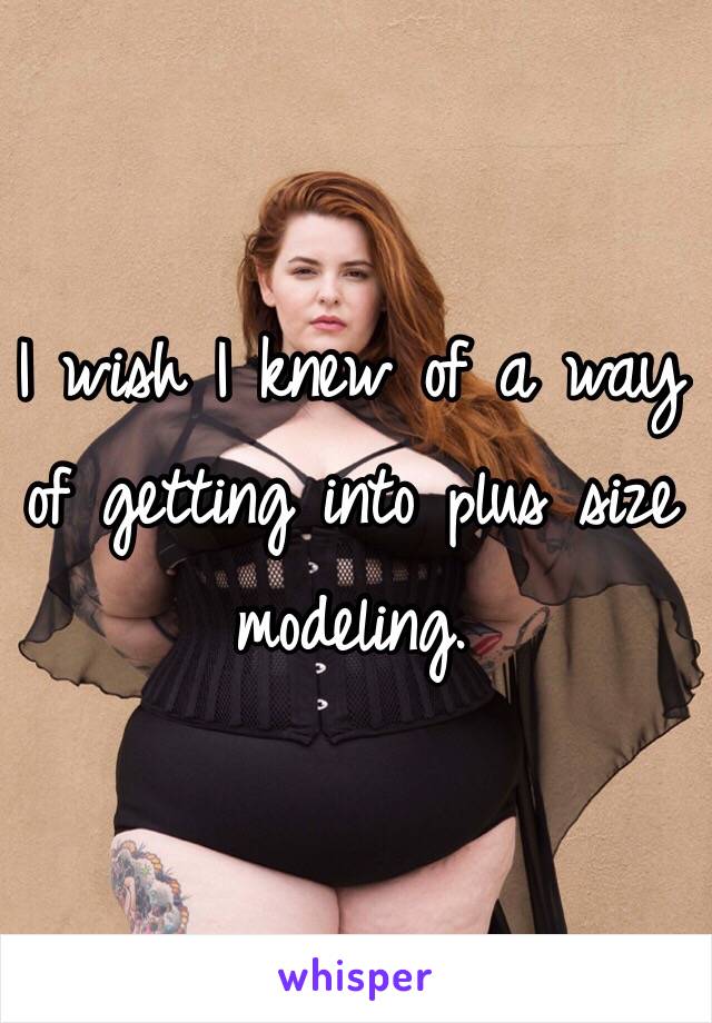 I wish I knew of a way of getting into plus size modeling. 