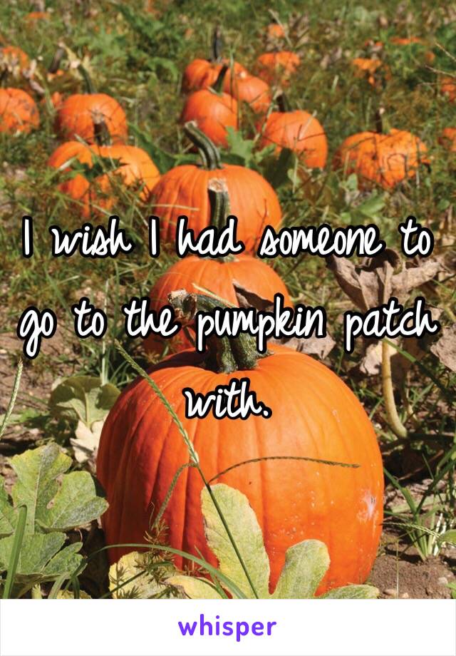 I wish I had someone to go to the pumpkin patch with. 