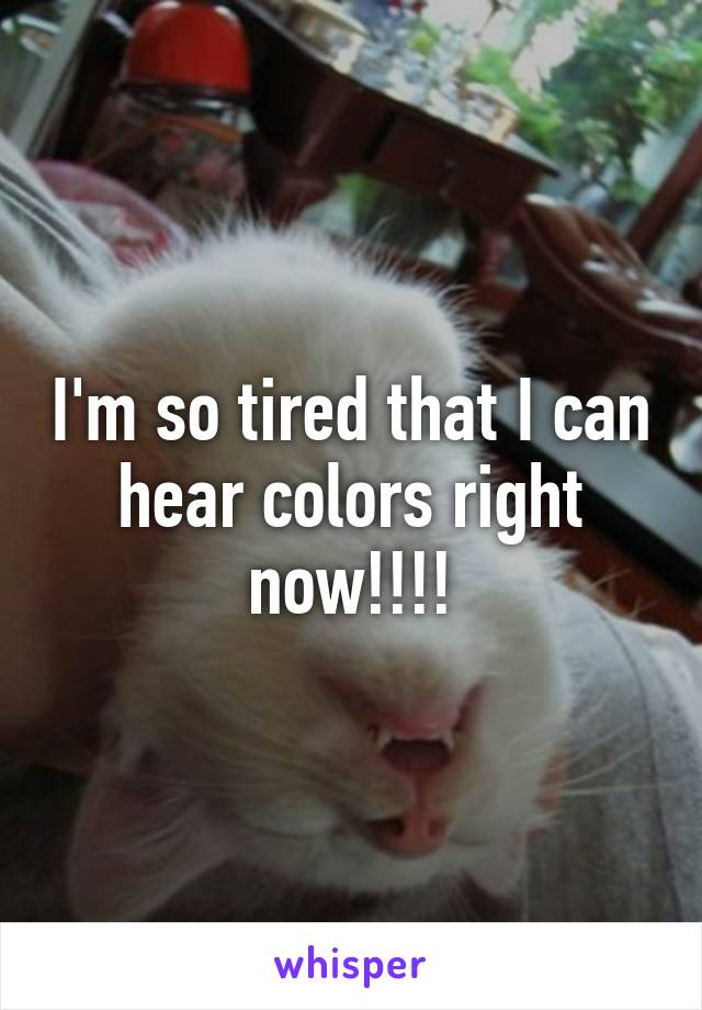 I'm so tired that I can hear colors right now!!!!