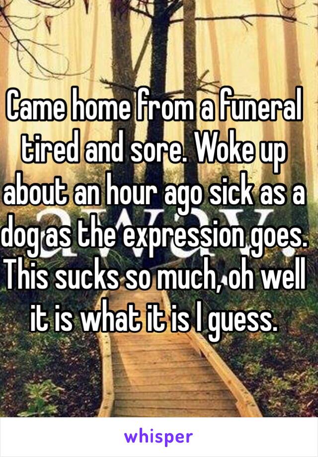 Came home from a funeral tired and sore. Woke up about an hour ago sick as a dog as the expression goes. This sucks so much, oh well it is what it is I guess.