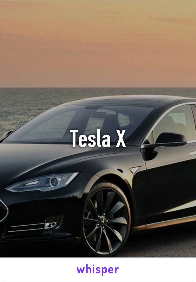 Tesla X