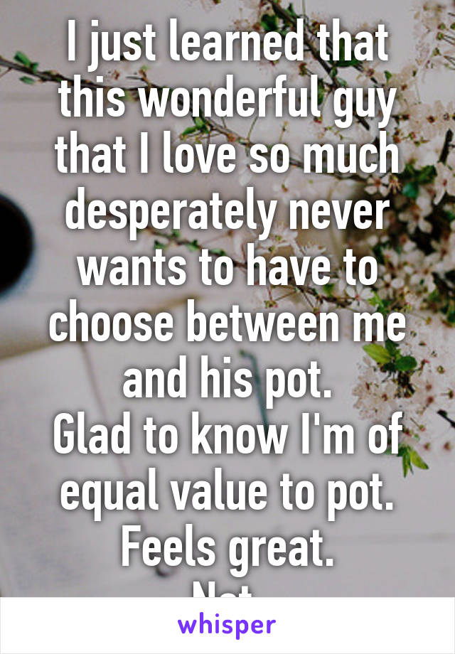 I just learned that this wonderful guy that I love so much desperately never wants to have to choose between me and his pot.
Glad to know I'm of equal value to pot. Feels great.
Not.